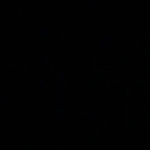 Meet your Posher, Shawn